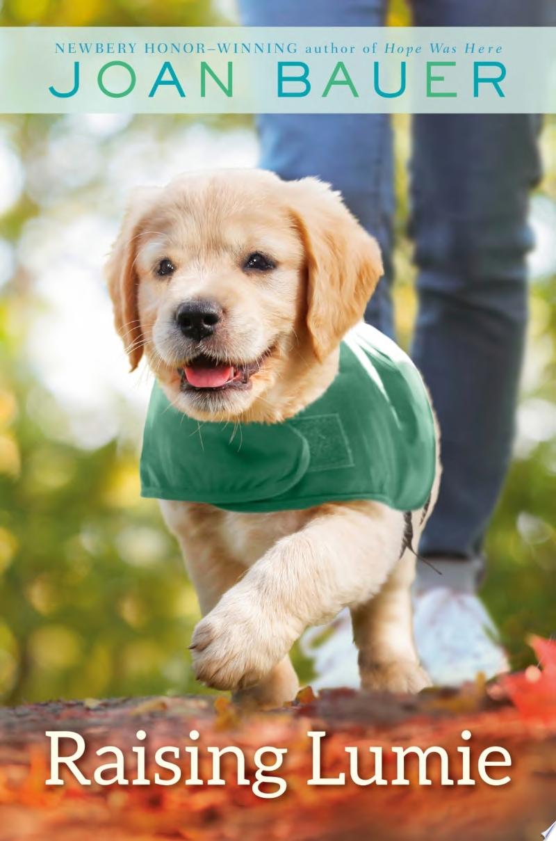 Image for "Raising Lumie" -a photo of a yellow lab puppy in a sweater going on a walk.