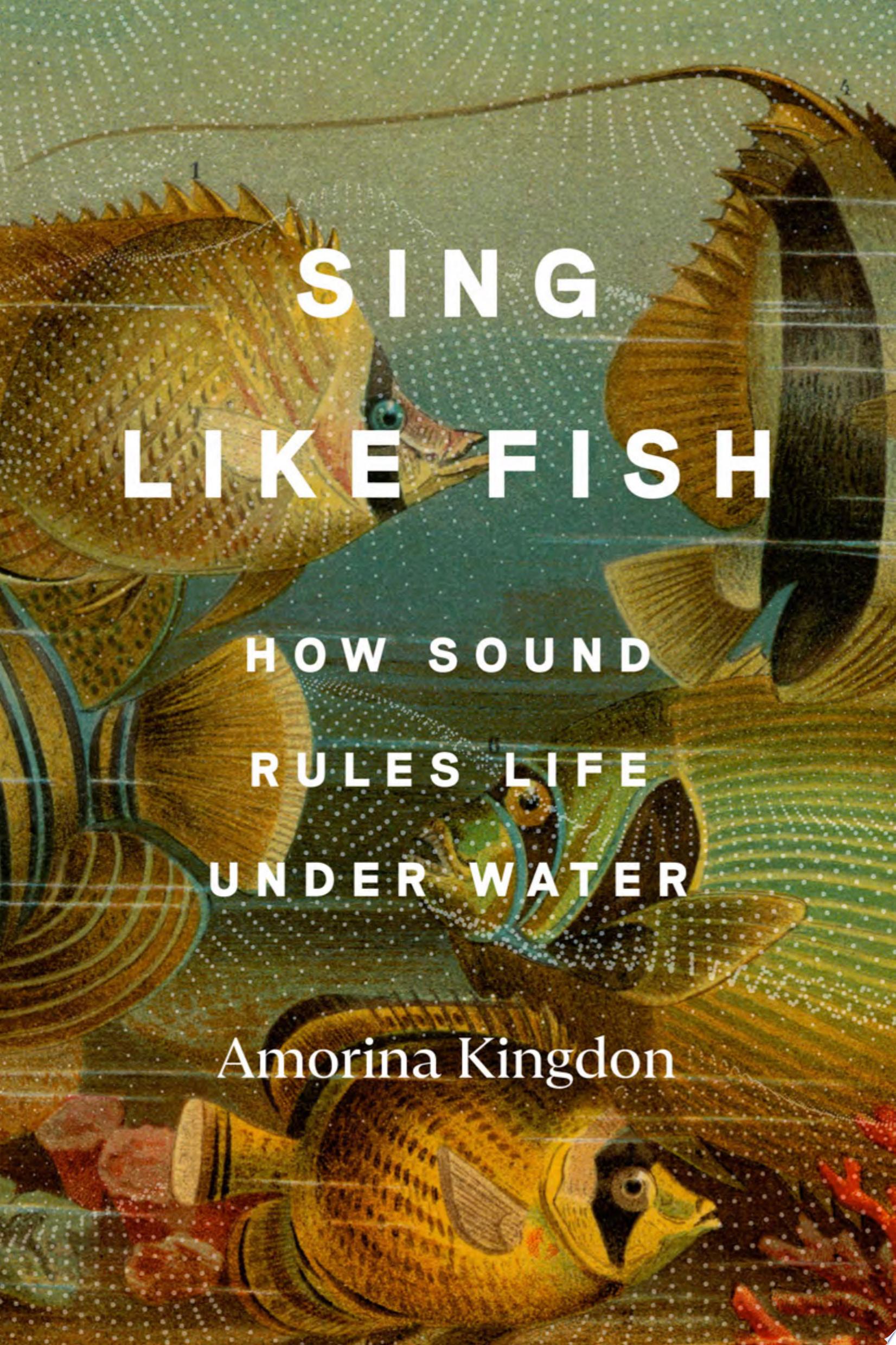 Image for "Sing Like Fish"