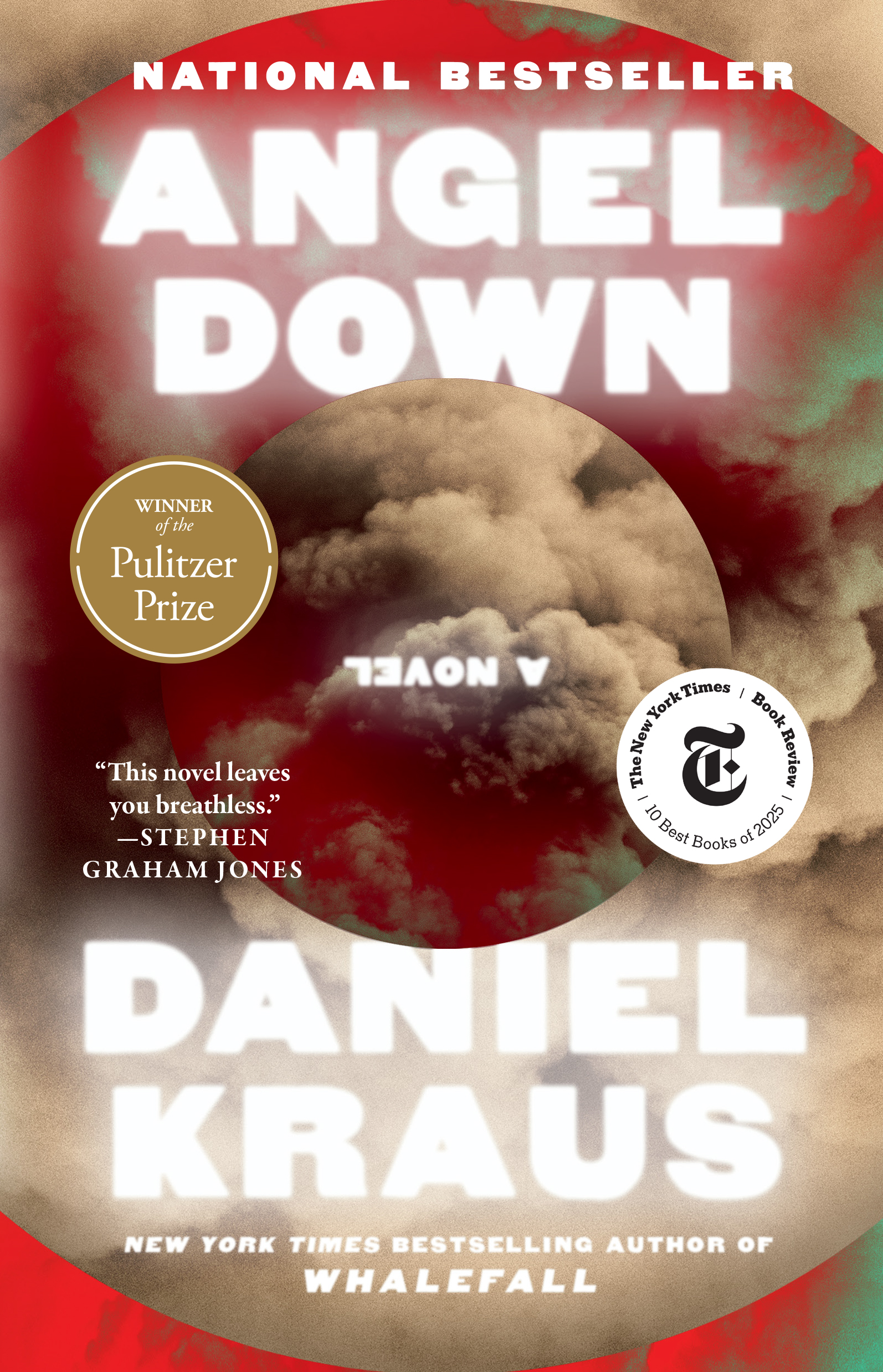 Cover of "Angel Down"