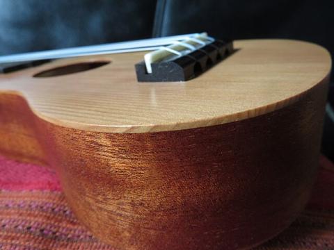 Photo of a ukulele on its side