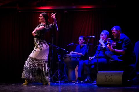 Flamenco dancer in foreground and seated musicians in background on dark stage
