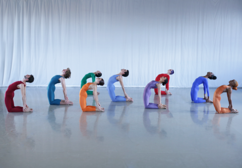 Dancers kneeling and wearing different colored leotards