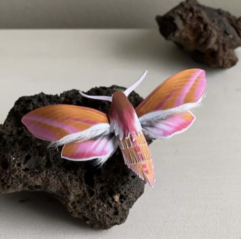 Photo of a moth made out of paper and cotton balls
