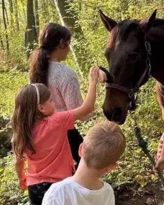 Children brushing a horse