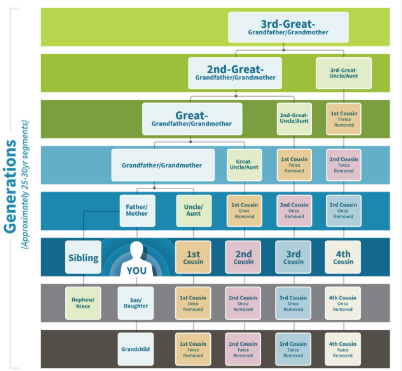 example of family tree