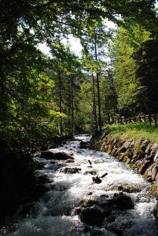 natural body of water with current within bed and stream banks