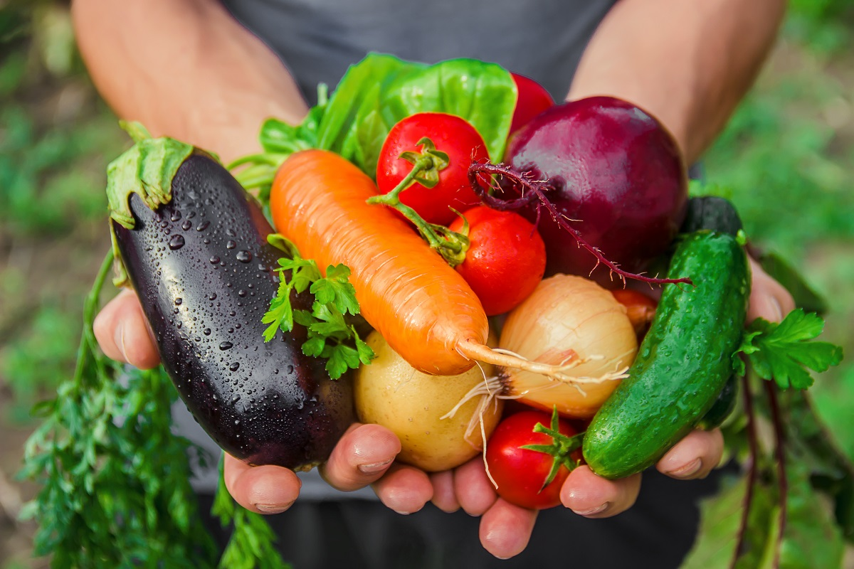 handful of fresh vegetables