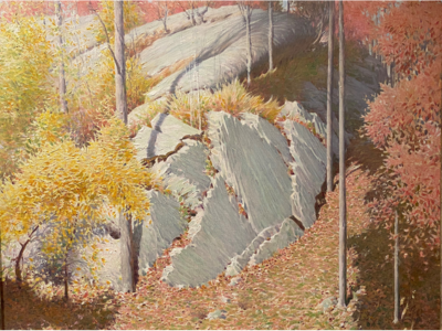Boulders surrounded by leaves in autumn colors