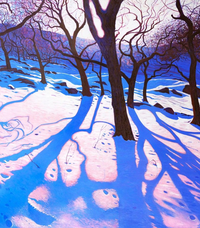 snowy forest with long shadows from the trees