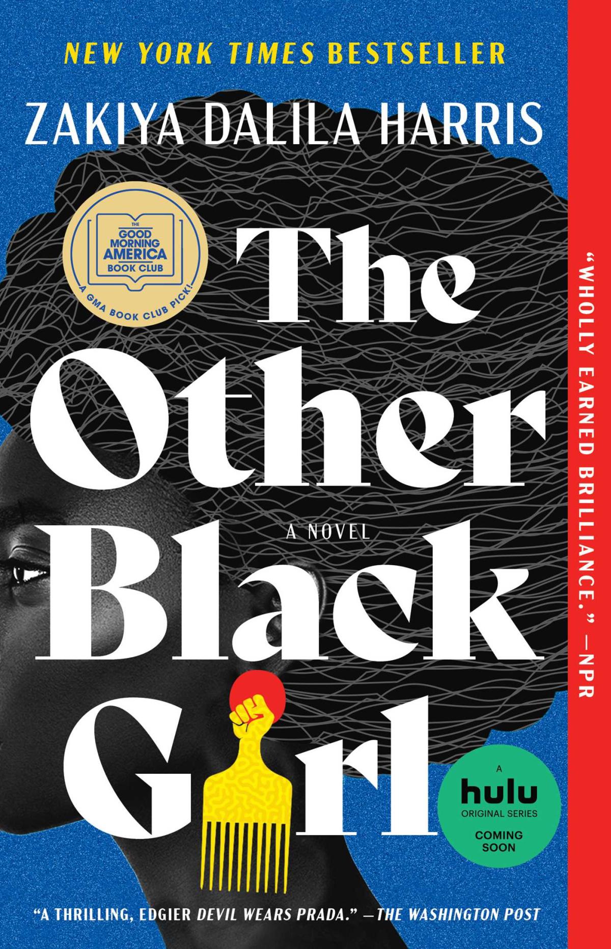 Cover of the Other Black Girl