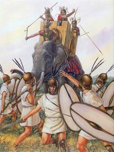 War elephant being ridden into battle.