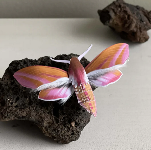 Photo of a moth made out of paper and cotton balls