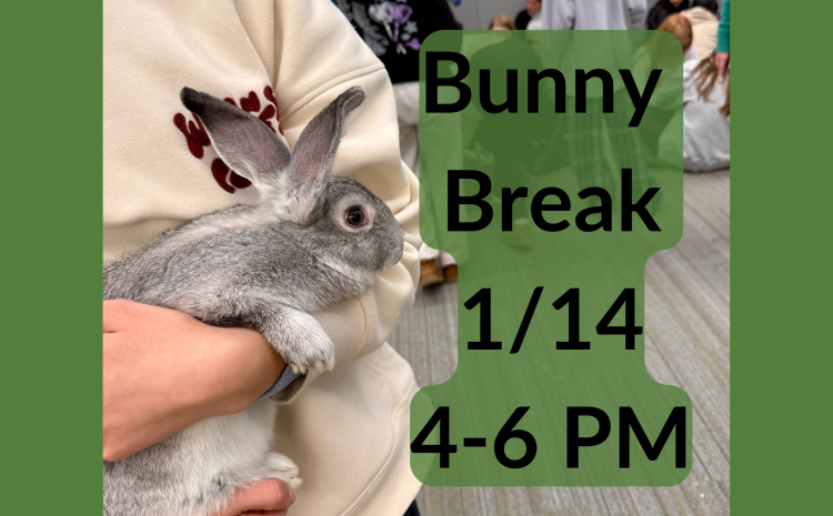 Bunny Break 1/14 from 4-6 PM