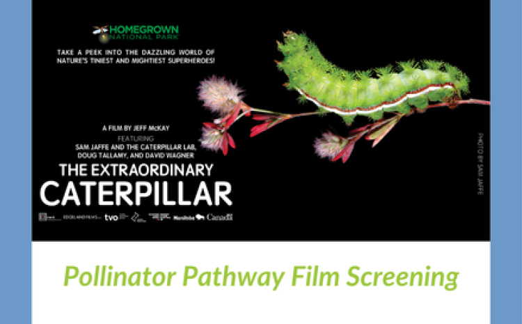 Pollinator Pathway Film Screening